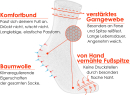 gigando Premium | Socken "Colorful" in Christbaumkugel | Geschenkbox